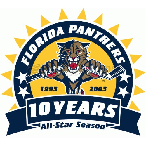Florida Panthers T-shirts Iron On Transfers N165